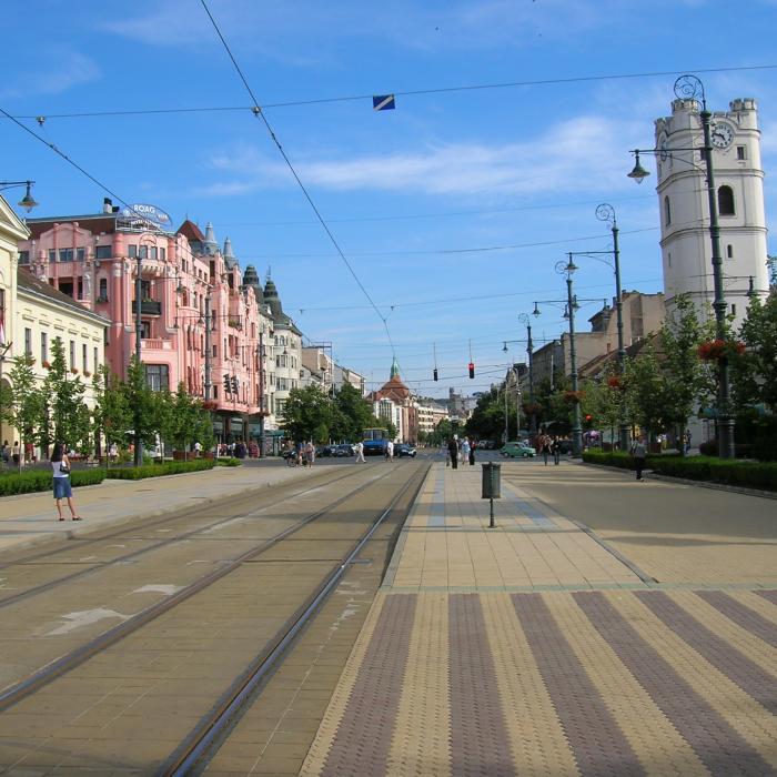 Ungaria: Orașul Debrecen, transformat într-un mare centru european al bateriilor 