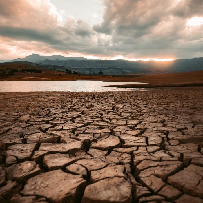 Secetă pedologică în mai multe zone agricole din România 