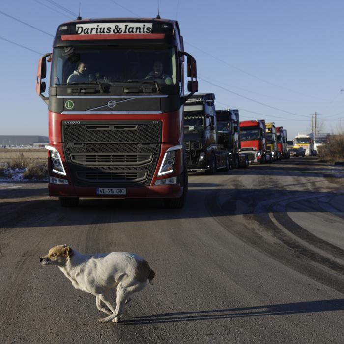 Sondaj: 70% din transportatori, sufocați de timpii de așteptare de la frontieră