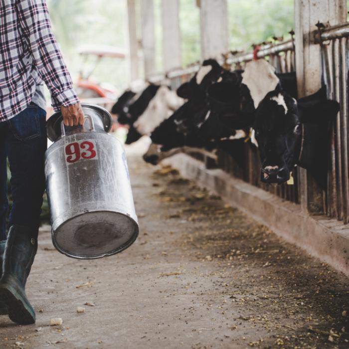 MADR: Ajutor de stat pentru crescătorii din sectorul bovinelor de carne și al bubalinelor