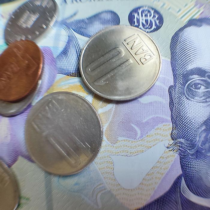 Venitul minim de incluziune. Cine sunt beneficiarii și ce sume primesc