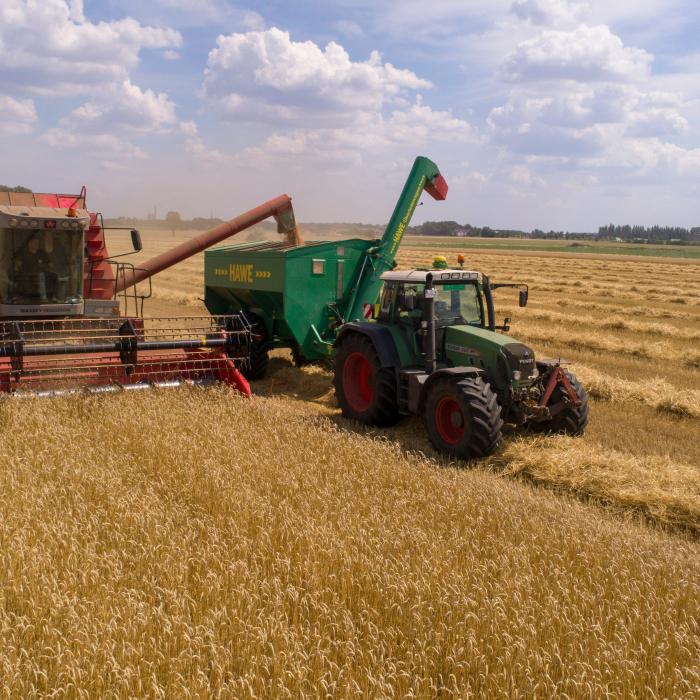 Ministrul Agriculturii, despre cerealele din Ucraina care au intrat în România