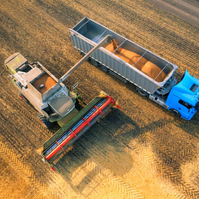 Polonia va face controlul calității cerealelor provenite din Ucraina