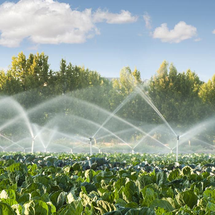 Modernizarea sistemelor de irigații. Agricultorii se pot înscrie pentru finanțările nerambursabile