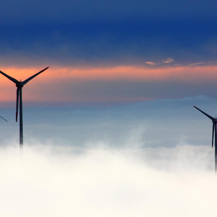 Centrale eoliene în Marea Neagră. Proiectul, dezbătut la Senat