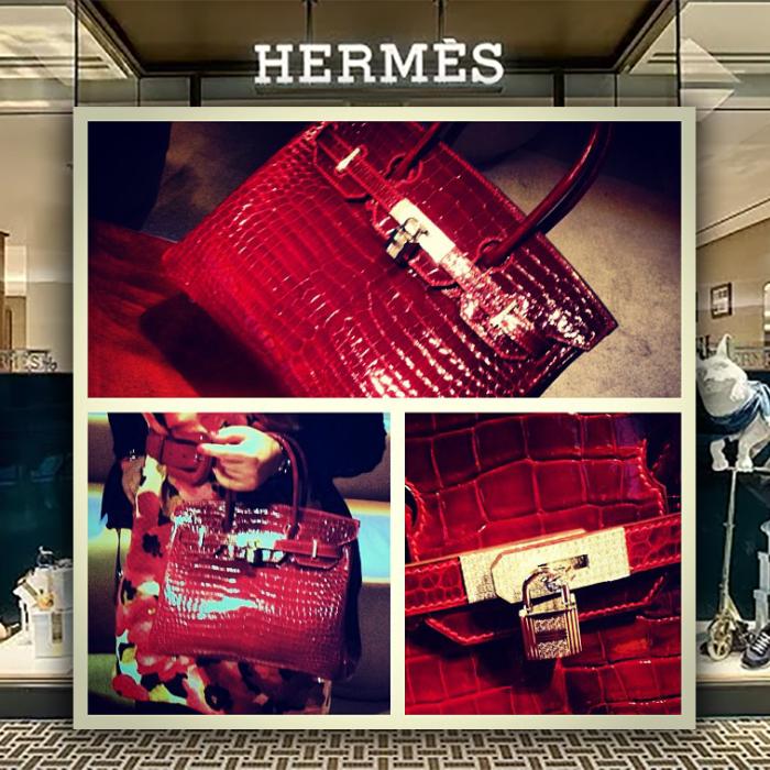 Prețul genților Birkin a adus un proces mamut pentru Hermes Internațional