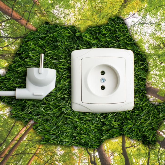 Energy Forum Ediția a XI-a: "Tranziția către o Românie verde, provocările momentului"
