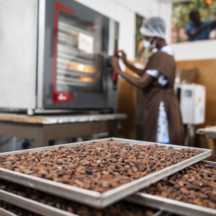 Prețul boabelor de cacao scade pentru a treia zi consecutiv. A trecut criza?