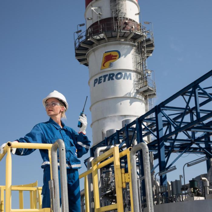 Se distribuie dividendele pentru OMV Petrom. Care este valoarea dividendului brut pe acţiune