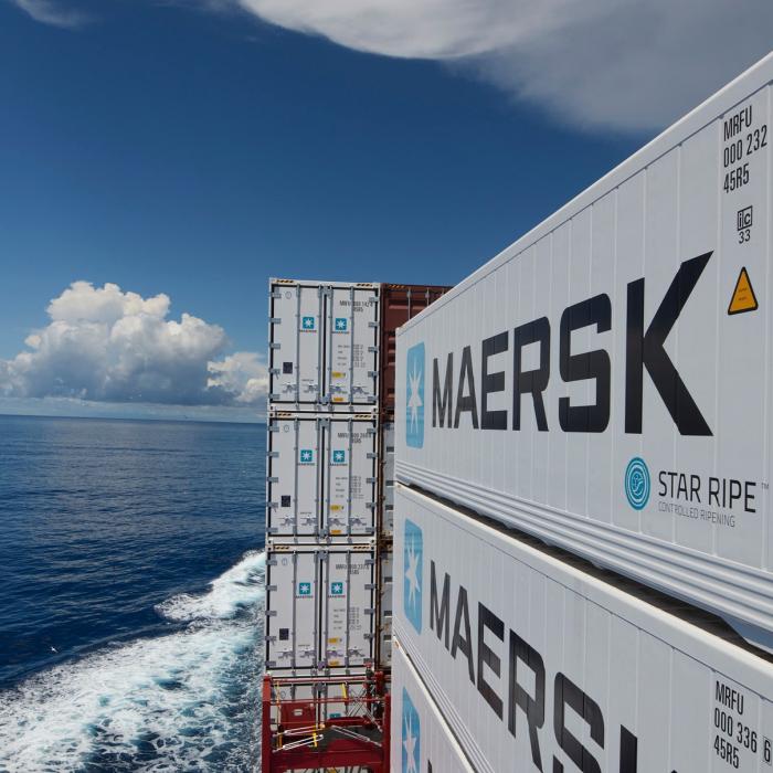 Blocajele transportatorilor maritimi din Marea Roșie se extind. Maersk trage un semnal de alarmă