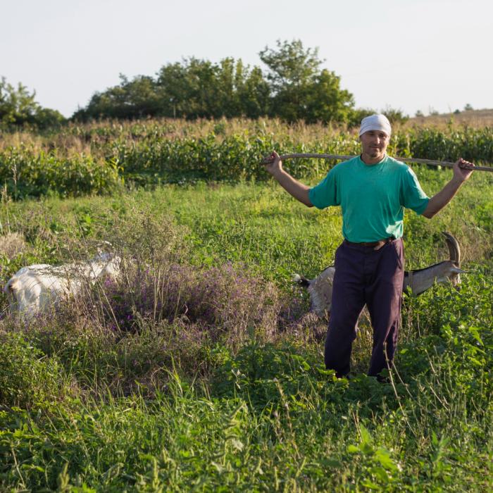 Pagubele produse de secetă și sprijinul necesar pentru agricultori, în atenția Guvernului
