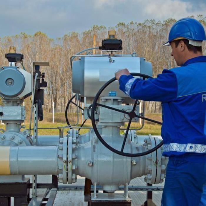 Dividendele Romgaz ajung, începând de astăzi, la acționari