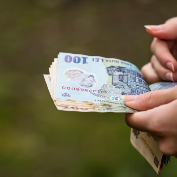 Curs valutar, 30 iulie. Leul scade față de euro și dolar. Aurul s-a scumpit