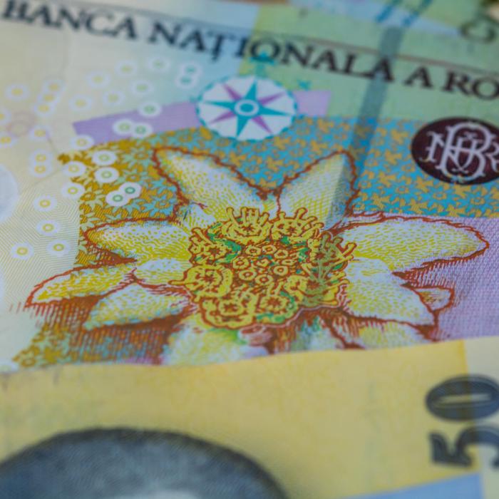 Curs BNR. Leul înregistrează evoluții mixte față de principalele valute. Aurul s-a scumpit
