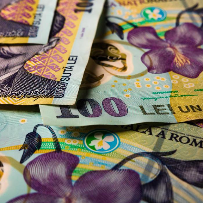 Curs BNR. Leul a înregistrat evoluții mixte față de principalele valute. Aurul s-a scumpit