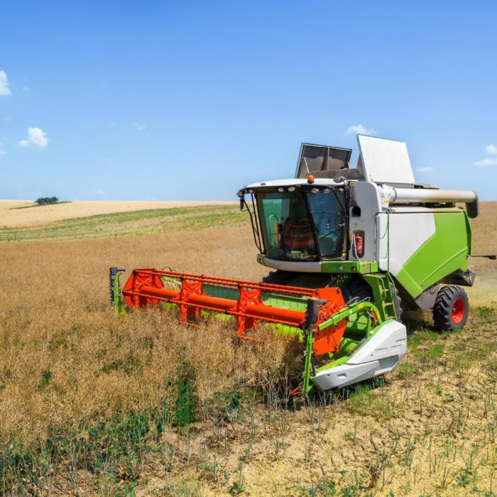 Cea mai mică recoltă de grâu a Franței din ultimii 40 de ani