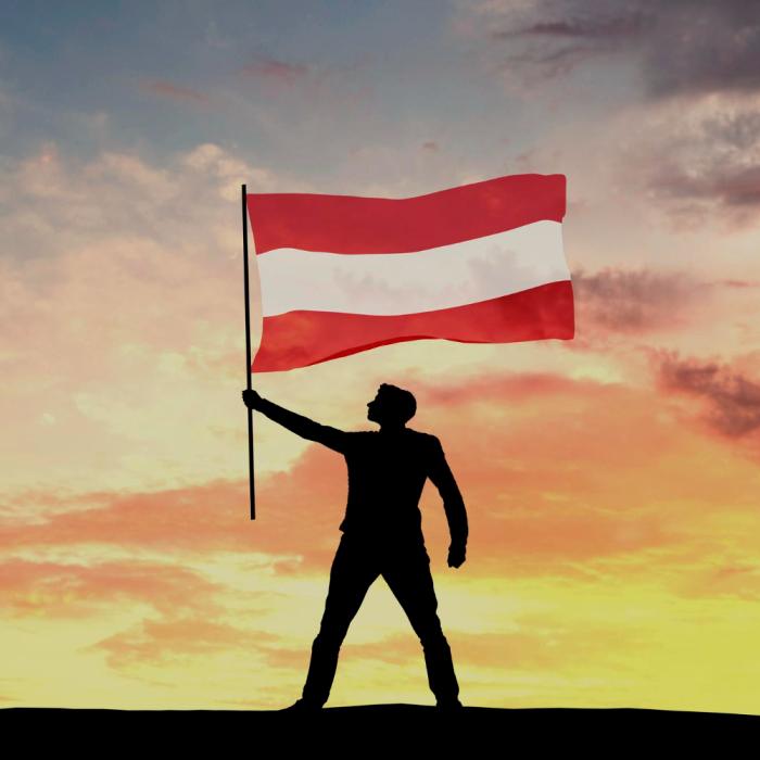 Austria. Politician de extremă dreapta a ajuns președintele parlamentului
