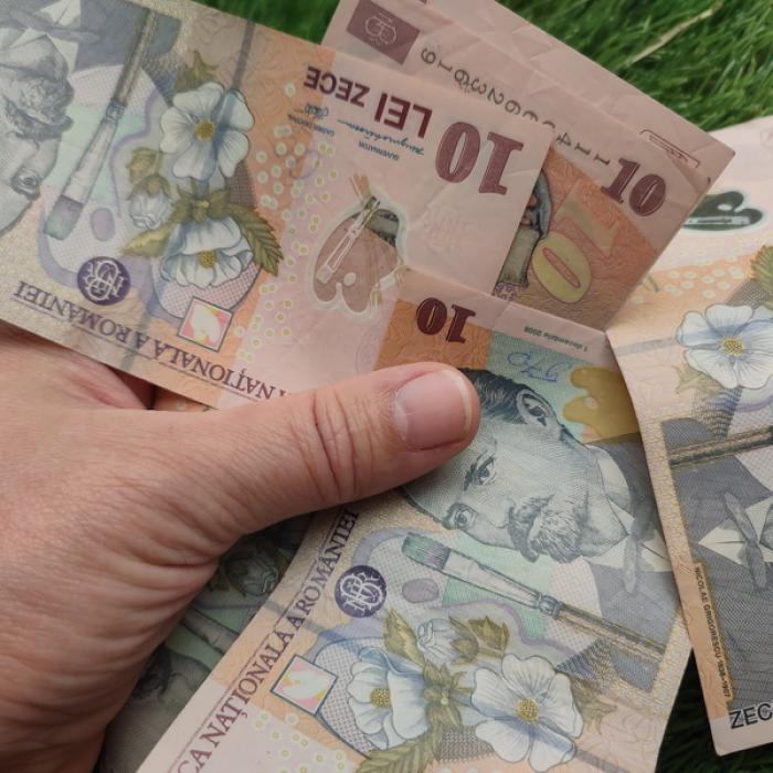 Suma maximă pe care firma o poate plăti în numerar unui salariat