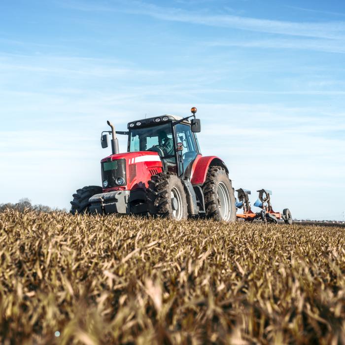 Problemele şi provocările pieţei, pe agenda reuniunii Consiliului Agricultură şi Pescuit al UE