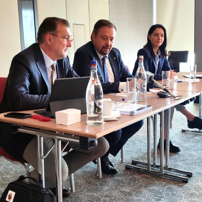 ”Plafonarea prețurilor distruge viitorul energetic al României!” Federaţia Patronală a Energiei lansează un semnal de alarmă