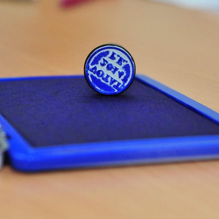 CCR a decis anularea alegerilor prezidențiale