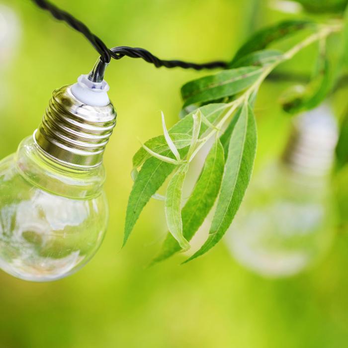 Politicile de „înverzire” ale Europei, criticate de ministrul Energiei: „O ideologie urmată orbește”