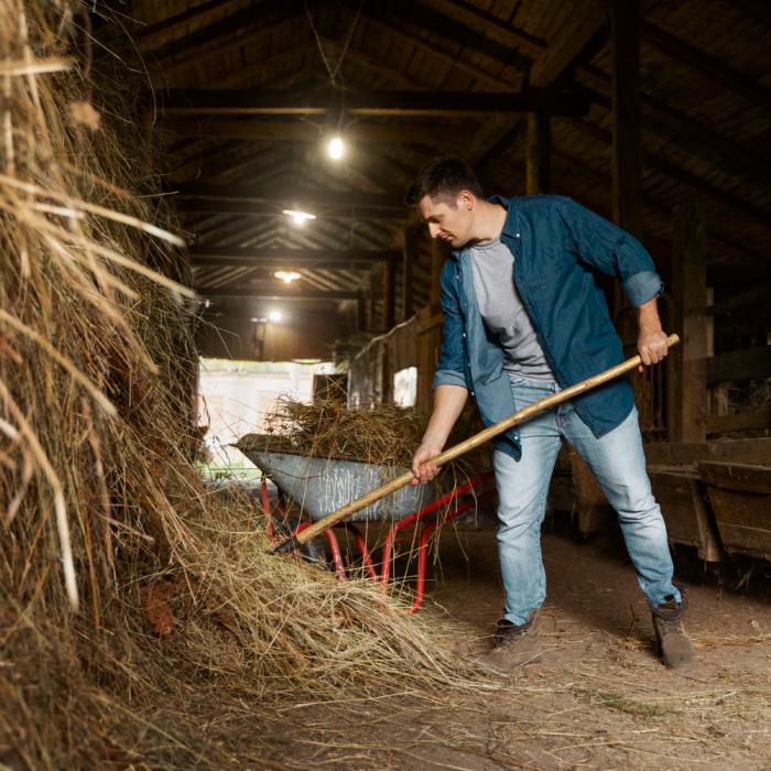 Milioane de euro pentru agricultură: Plățile au fost efectuate