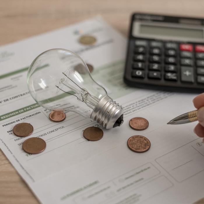 Vouchere sau plafonarea prețului la energie electrică?