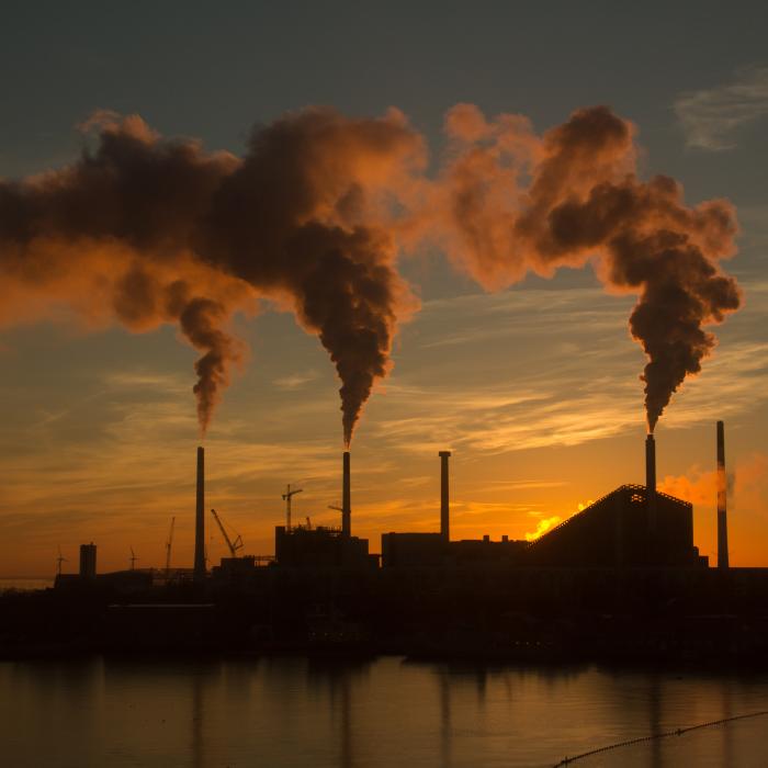 Stocarea carbonului: Salvarea planetei sau o nouă afacere profitabilă?