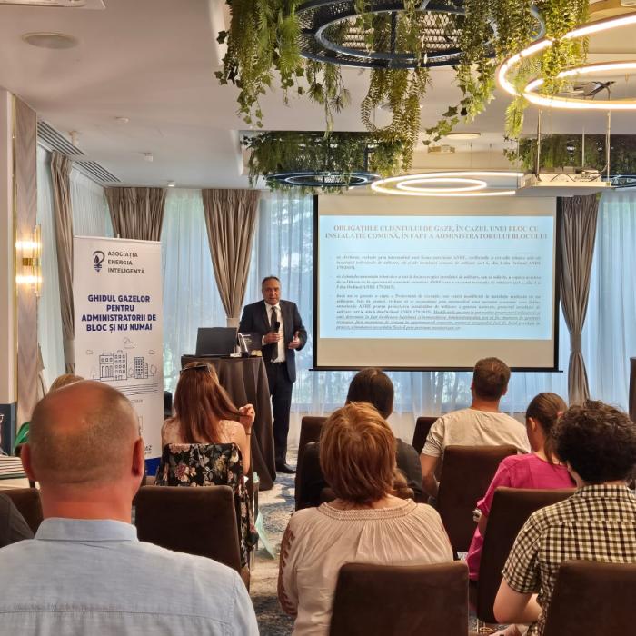 Problemele şi provocările pieţei gazelor din România. Chisăliţă: Trebuie să ieșim din retorica vremurilor trecute
