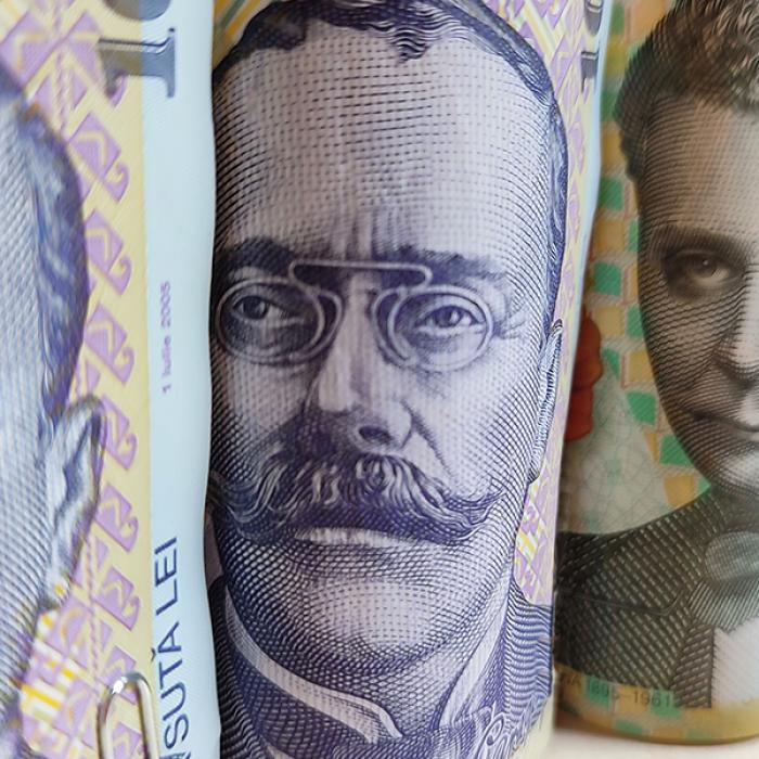 Curs BNR. Leul, evoluție oscilantă, prețul aurului a crescut 