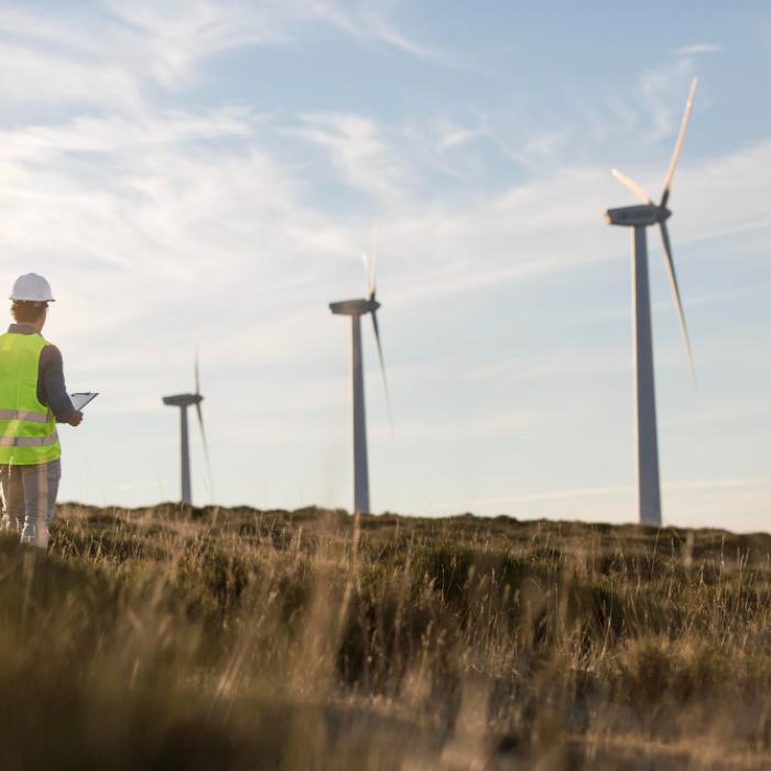 Vântul puternic a făcut din România exportator de energie. Marţi, aproape 35% din producţie vine din eolian