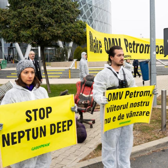 Burduja cere daune maxime pentru ONG-urile care atacă în instanţă, cu rea-credință, proiectele energetice