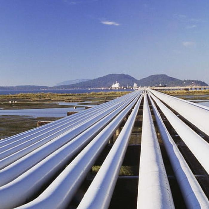 Bulgaria schimbă harta livrărilor de gaze în Europa de Est