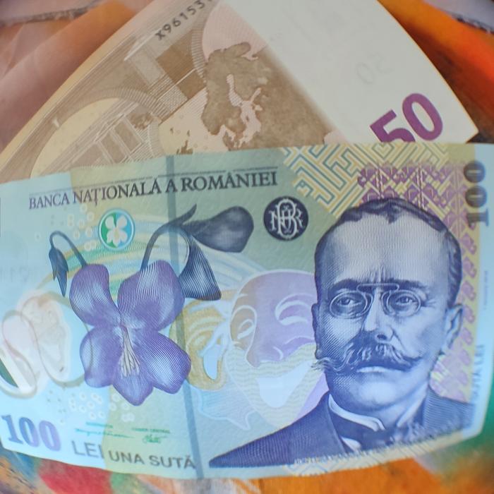 Curs BNR. Leul, evoluție mixtă față de principalele valute