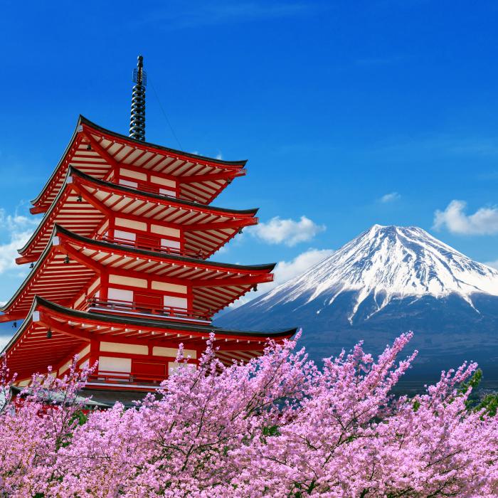 Japonia, un test pentru acordurile tarifare ale lui Trump