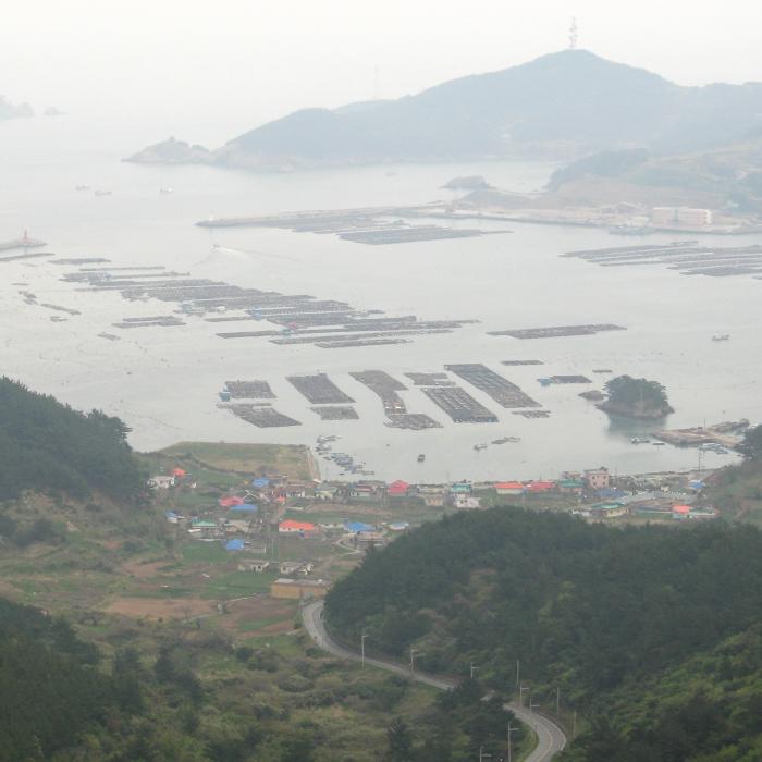„Fermele galbene” ale Chinei, noua armă pentru cucerirea Pacificului