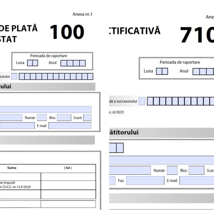 ANAF, modificări privind formularele 100 - Declarație privind obligațiile de plată la bugetul de stat și 710 - Declaraţie rectificativă