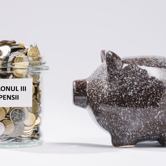 Portofoliile Pilonului III de pensii, dominate de titlurile de stat