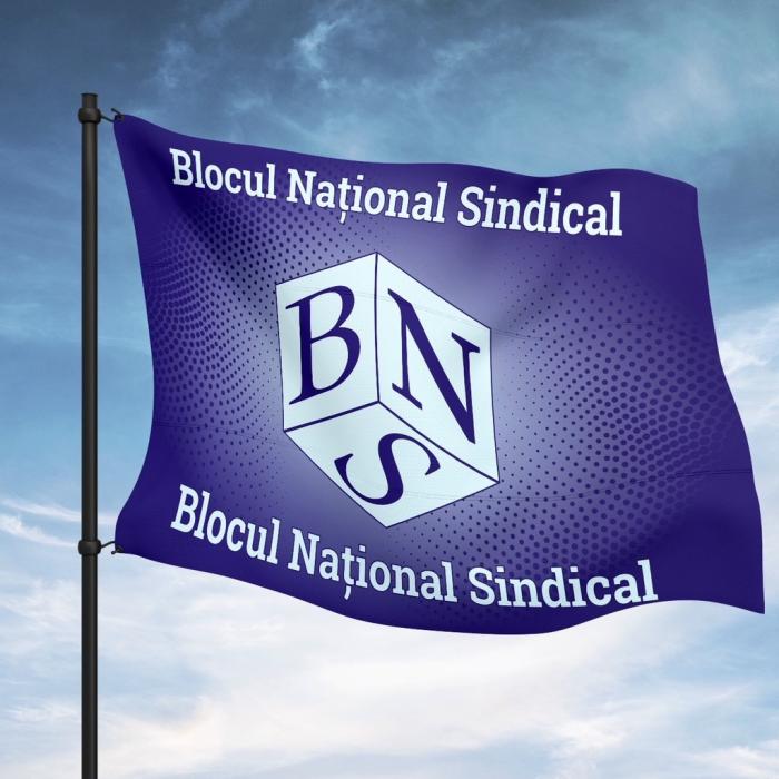BNS acuză lipsa transparenței și cere amânarea OUG privind salarizarea bugetarilor