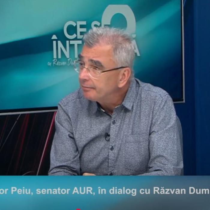 Cum a evitat România intrarea în incapacitate de plată cu ajutorul Băncii Naţionale a Chinei. Petrişor Peiu: Au fost clipe cumplite!