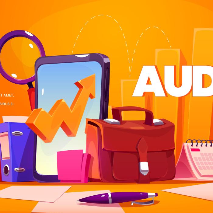 Audit intern obligatoriu: ASPAAS începe verificările la companiile auditate