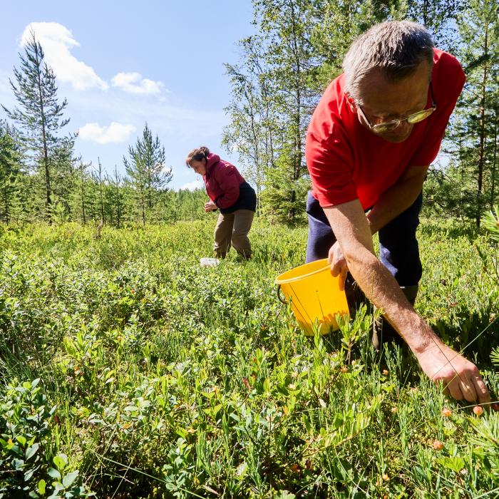 Statul dă până la 300.000 euro pentru afaceri sociale la țară