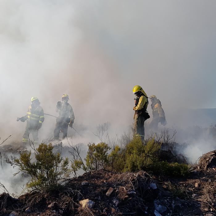 Vara 2025, cea mai poluată din ultimele decenii din cauza incendiilor