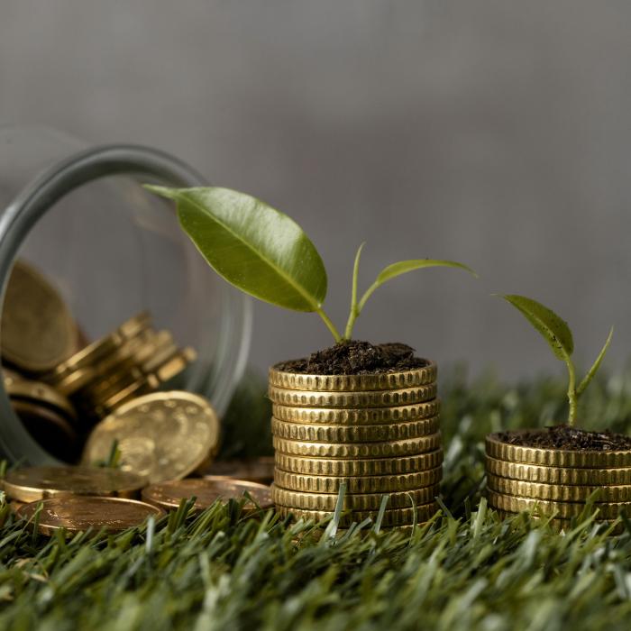Finanțarea inteligentă a IMM-urilor: cum se schimbă accesul la creditare pentru firme