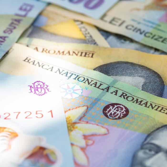 Sursa banilor, la vedere. Registrul care promite să aducă lumină în finanțarea ONG-urilor din România