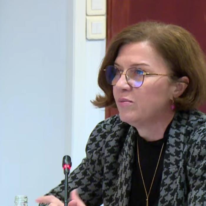 Daniela Dărăban (ACUE): Riscul de blackout trebuie tratat ca o urgență reală. România nu este pregătită pentru o criză energetică