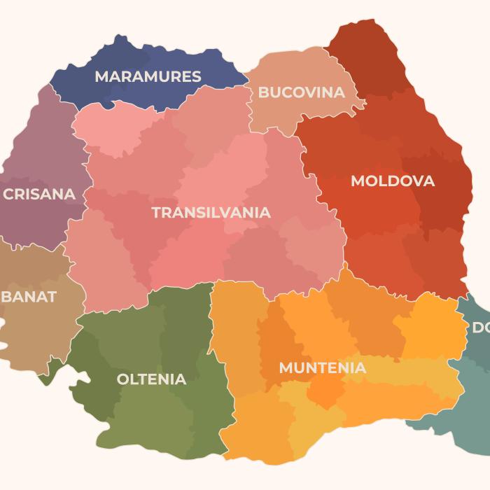 Curtea de Conturi: Administrația locală, în colaps. Modelul din 1968 nu mai funcționează