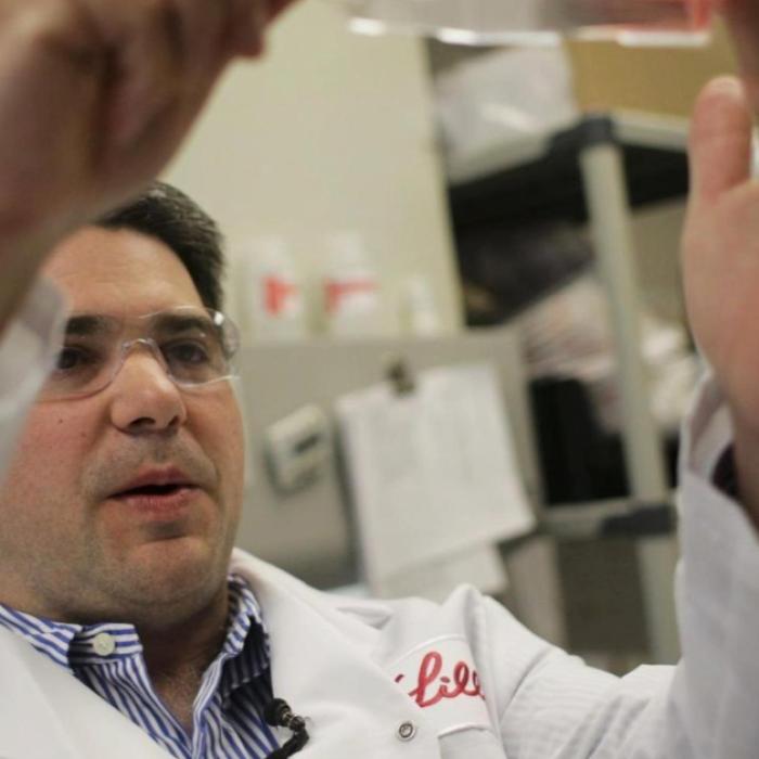 Industria farma, dominată de noul val anti-obezitate: Eli Lilly trece pragul istoric