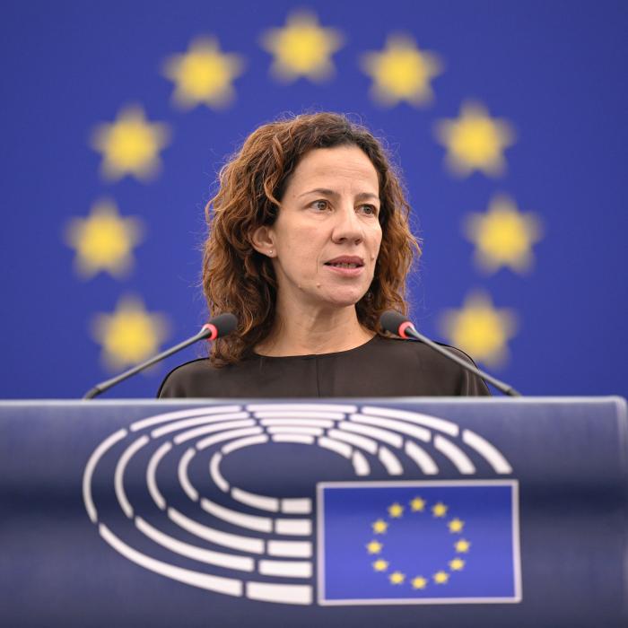 România pierde bani din programul SAFE din pricina deficitului